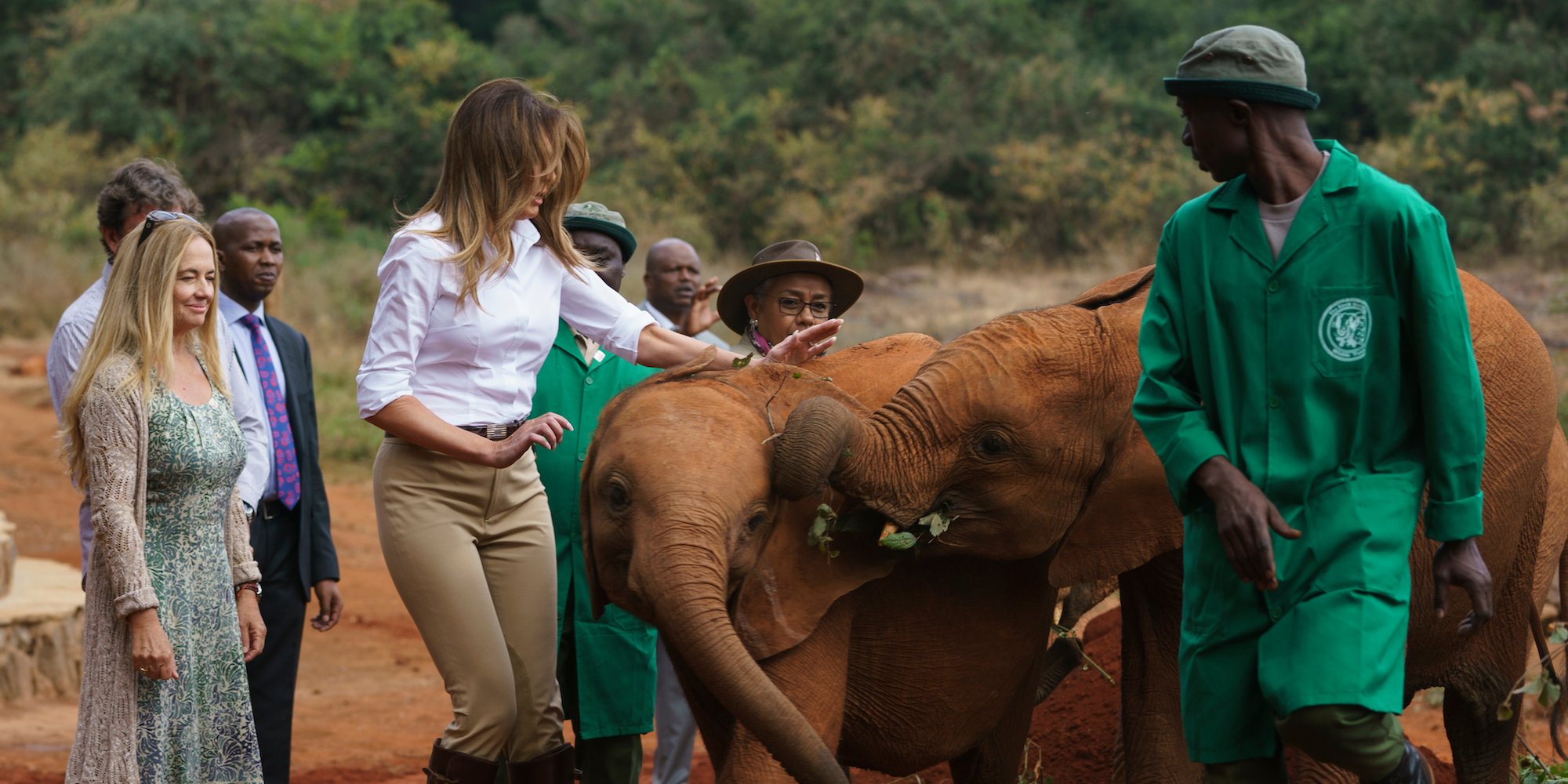 Baby Elephant Bumps into Melania Trump in Kenya