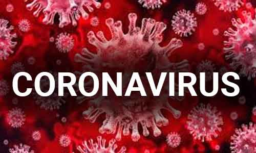 Herbal Medicine Offers Hope for Coronavirus Treatment