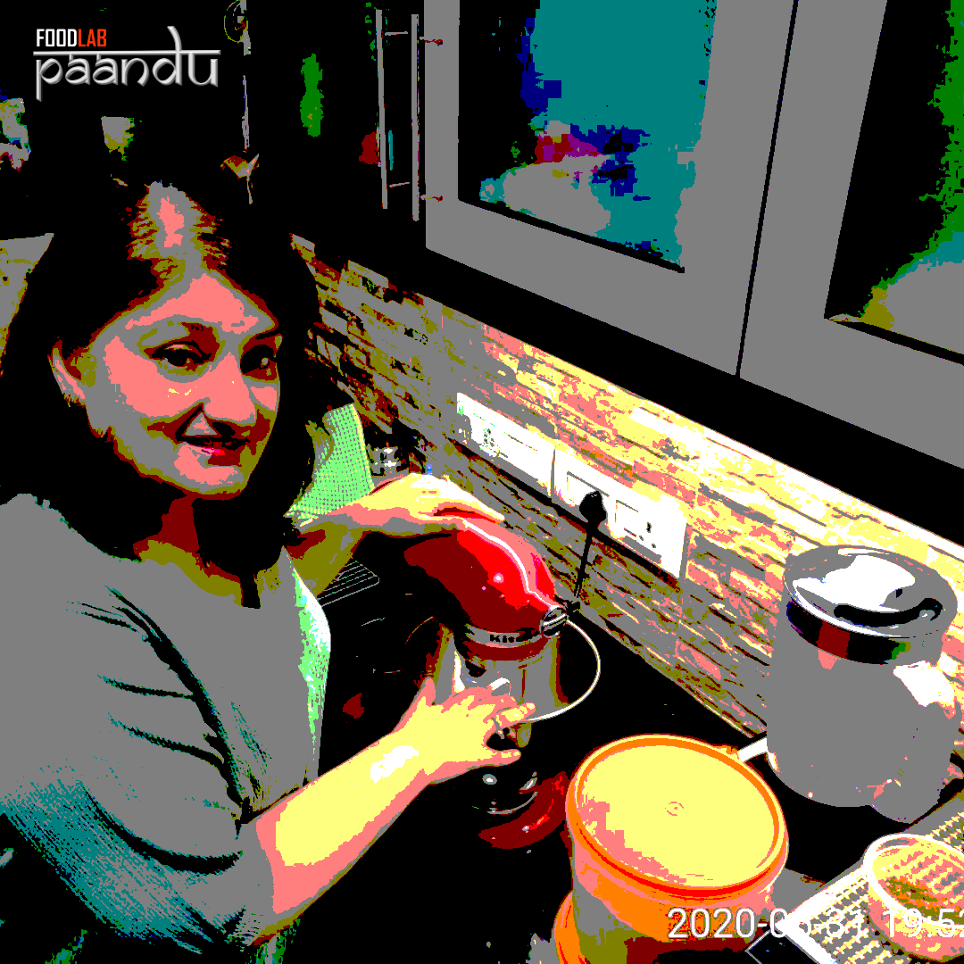Paandu Food Lab