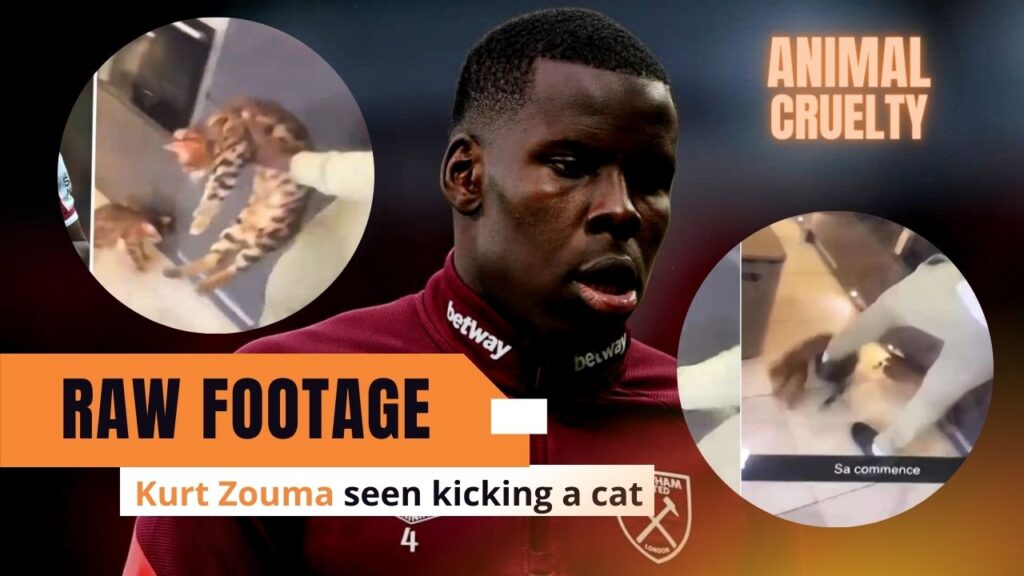 Kurt Zouma's animal cruelty exposed as he smashes a defenceless cat