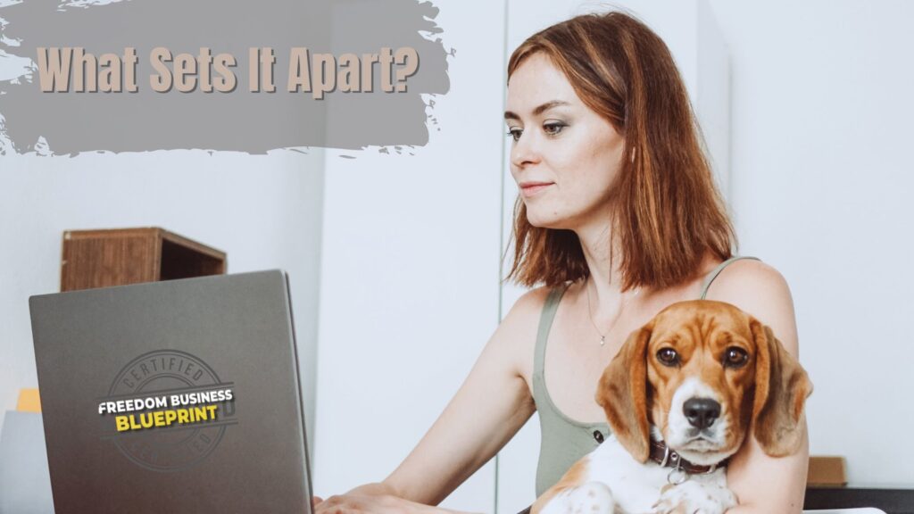 Business Blueprint vs competitors